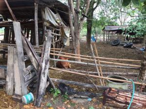 1. โครงการเยี่ยมบ้านนักศึกษา มหาวิทยาลัยราชภัฏกำแพงเพชร (อ.คลองลาน)