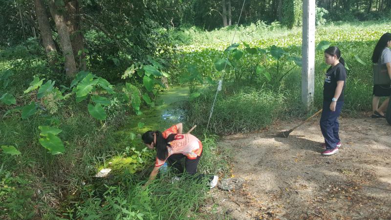 1. Big Cleaning day และทำลายแหล่งเพาะพันธุ์ลูกน้ำยุงลาย