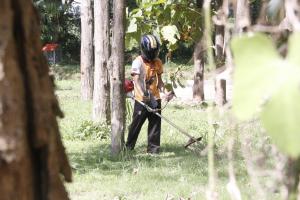 30. Big Cleaning day และทำลายแหล่งเพาะพันธุ์ลูกน้ำยุงลาย