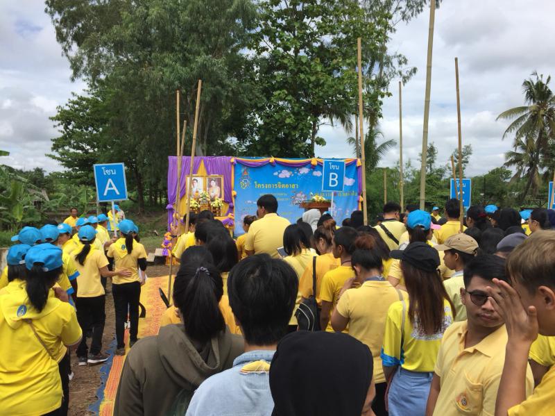 3. จิตอาสาพัฒนา  